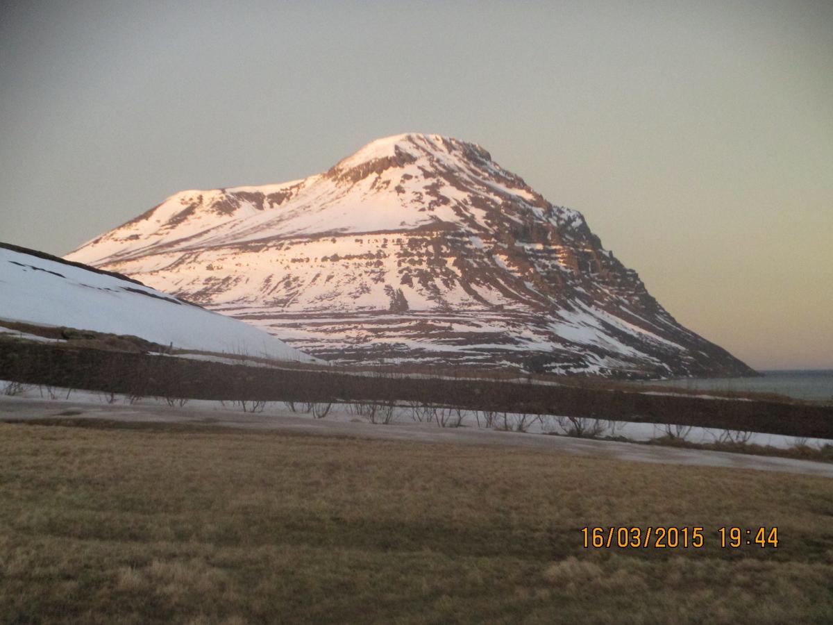 Smyrill Cottages Þórshöfn Dış mekan fotoğraf